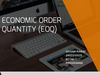 economic order quantity eoq