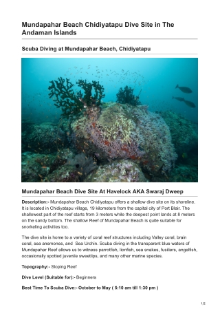 Scuba Diving at Mundapahar beach, Chidiyatapu