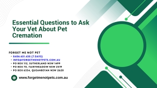 essential questions to ask your vet about