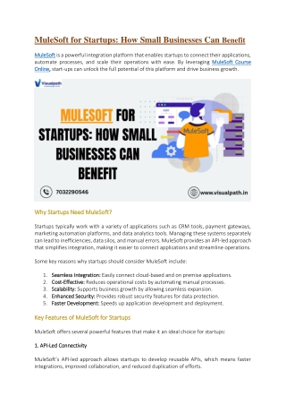 mulesoft for startups how small businesses