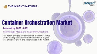the insight partners