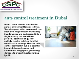 Effective Ants Control Treatment in Dubai: Keep Your Home Pest free