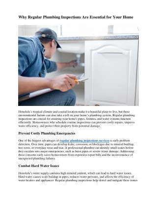 why regular plumbing inspections are essential