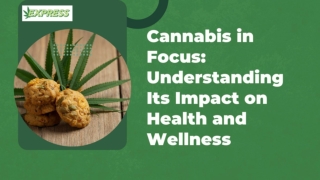 Cannabis in Focus Understanding Its Impact on Health and Wellness