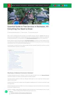 Essential Guide to Tree Services in Rochester, NY Everything You Need to Know