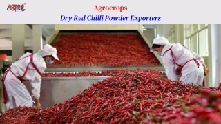 Dry Red Chilli Powder Exporters