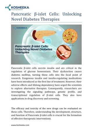 Pancreatic β-islet Cells: Unlocking Novel Diabetes Therapies