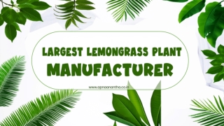 Trusted Herbal Agro Products Manufacturer in Ranchi