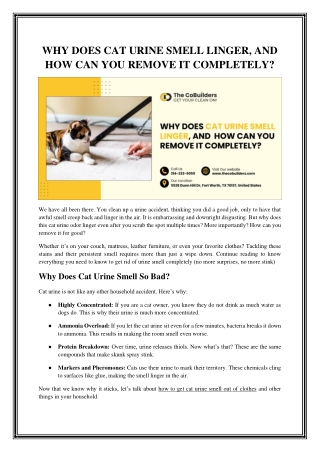 Effective Strategies to Eliminate Lingering Cat Urine Odors