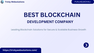 Reliable Blockchain Development Company in Mohali – Tricky Websolutions