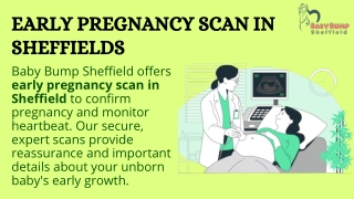 early pregnancy scan in sheffields