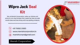 ​Manish Corporation - Wipro Jack Seal Kit.