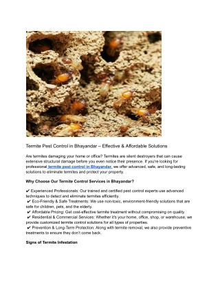 Termite Pest Control in Bhayandar – Effective & Affordable Solutions