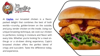 Savor the Best Chicken Burgers Only  Caylos
