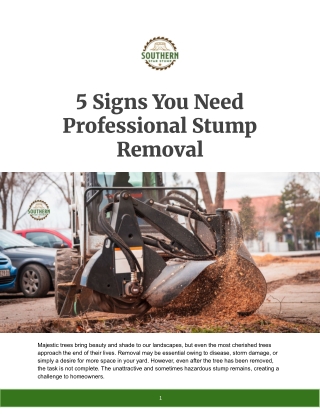Protect Your Yard: When to Call for Professional Stump Grinding