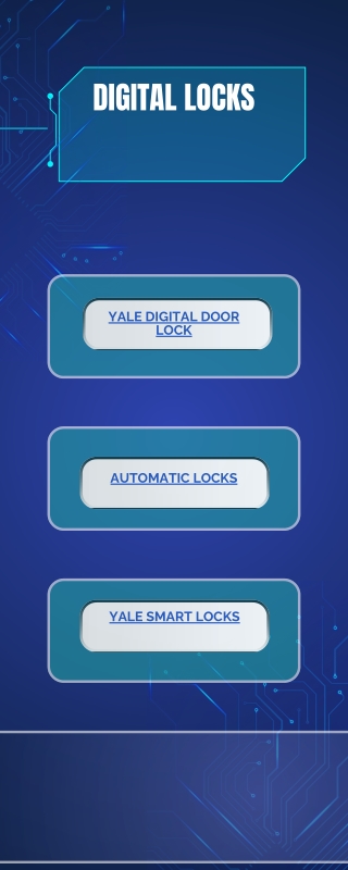 Digital Locks (2)