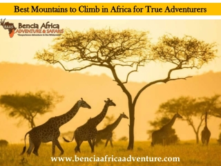 Best Mountains to Climb in Africa for True Adventurers
