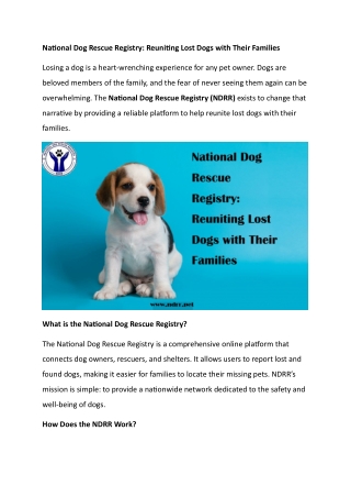 National Dog Rescue Registry Reuniting Lost Dogs with Their Families