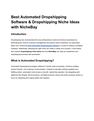 Best Automated Dropshipping Software & Dropshipping Niche Ideas with NicheBay