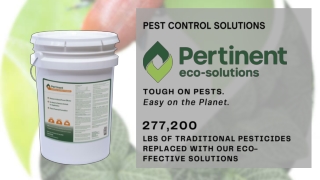 Pest Control Solutions