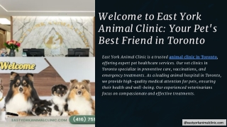 East York Animal Clinic – Trusted Animal Clinic in Toronto | Best Vet Clinics in