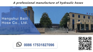 Manufacturer of hydraulic hoses--Baili Hose Jane