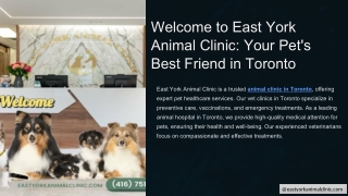 Comprehensive Veterinary Services at East York Animal Clinic