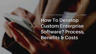 How To Develop Custom Enterprise Software Process, Benefits & Costs