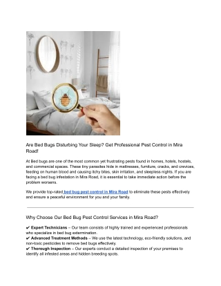 Are Bed Bugs Disturbing Your Sleep (1)