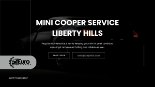 Mini Cooper Service Liberty Hills - Euro Garage