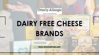 5 Best Dairy Free Cheese Brands - Utterly Allergic