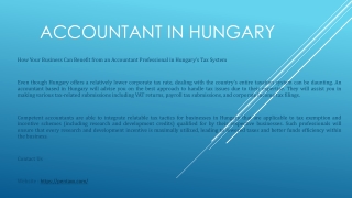 accountant in hungary