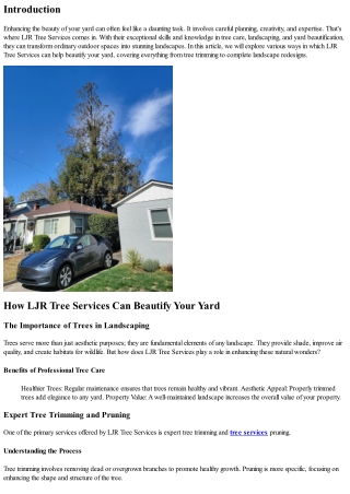How LJR Tree Services Can Beautify Your Yard