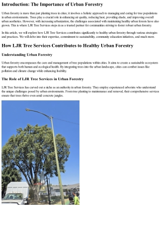 How LJR Tree Services Contributes to Healthy Urban Forestry