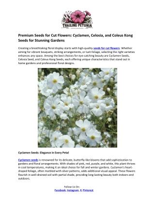 Trailing Petunia- Seeds for Cut Flowers