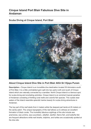 Dive into the Pristine Coral Reefs of Cinque Island in Port Blair!