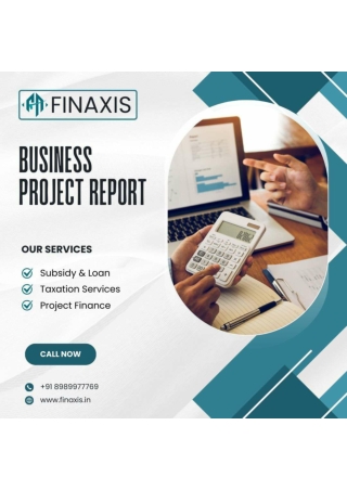 project report for bank loan,cmegp loan