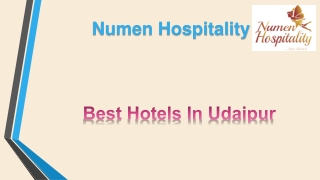 numen hospitality