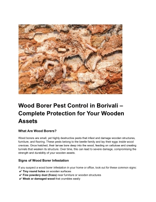 Wood Borer Pest Control in Borivali – Complete Protection for Your Wooden Assets