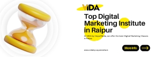 VIDA: The Best Digital Marketing Institute in Raipur