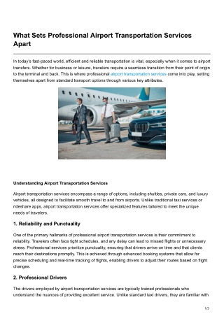 What Sets Professional Airport Transportation Services Apart