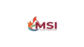 Fire And Smoke Damage Restoration Services - MSI