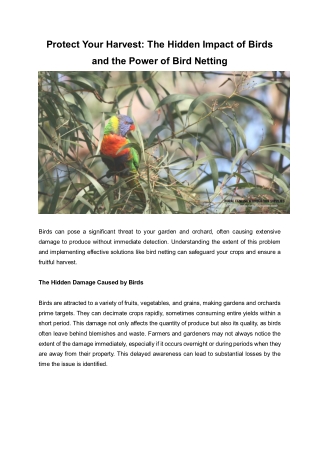Protect Your Harvest: The Hidden Impact of Birds and the Power of Bird Netting