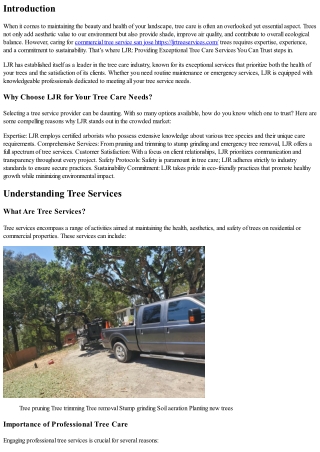 LJR: Providing Exceptional Tree Care Services You Can Trust