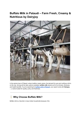 Buffalo Milk in Pataudi – Farm Fresh, Creamy & Nutritious by Dairyjoy