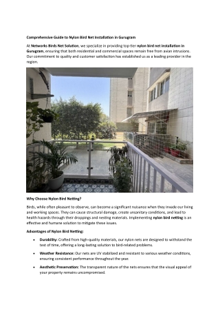 Comprehensive Guide to Nylon Bird Net Installation in Gurugram