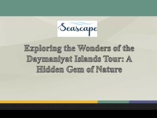 Exploring the Wonders of the Daymaniyat Islands Tour A Hidden Gem of Nature