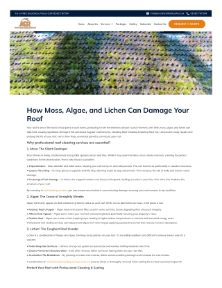 How Moss, Algae, and Lichen Can Damage Your Roof
