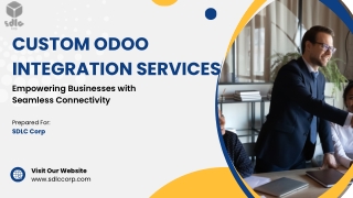 Custom Odoo Integration Services