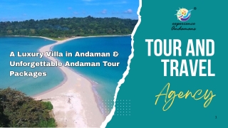 tour and travel agency
